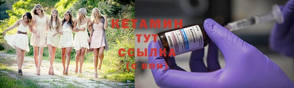 хмурый Няндома