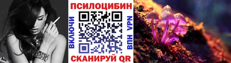 где купить наркотик  Подпорожье  Псилоцибиновые грибы MAGIC MUSHROOMS 